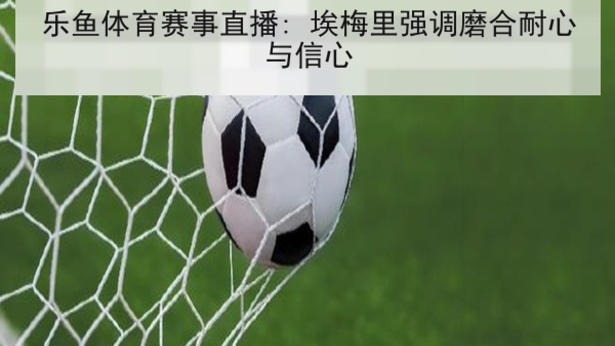 乐鱼体育赛事直播: 埃梅里强调磨合耐心与信心